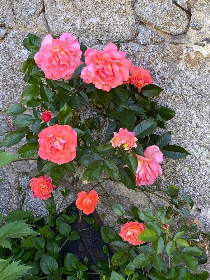 Bed and Breakfast La Vaisse Ambert Esterno foto